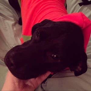 Meet your Posher, Mallory